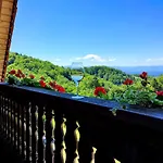 Weingut Winzerzimmer Rothschaedl Hotel Leutschach