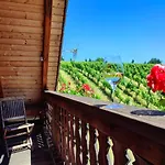 Weingut Winzerzimmer Rothschaedl Hotel *