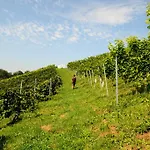Weingut Winzerzimmer Rothschaedl Leutschach