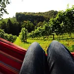 Weingut Winzerzimmer Rothschaedl *