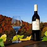 Weingut Winzerzimmer Rothschaedl Hotel Leutschach