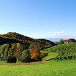 Weingut Winzerzimmer Rothschaedl Hotel