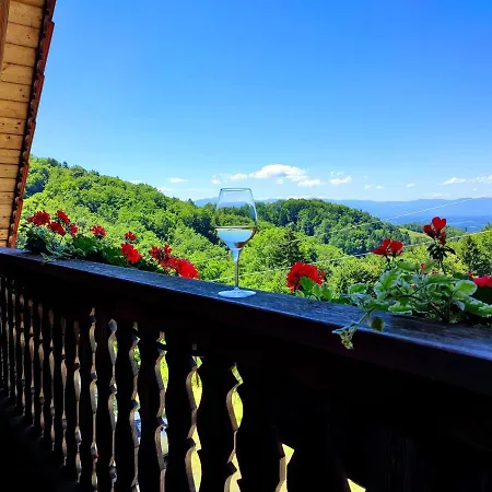 Weingut Winzerzimmer Rothschadl Hotel Leutschach