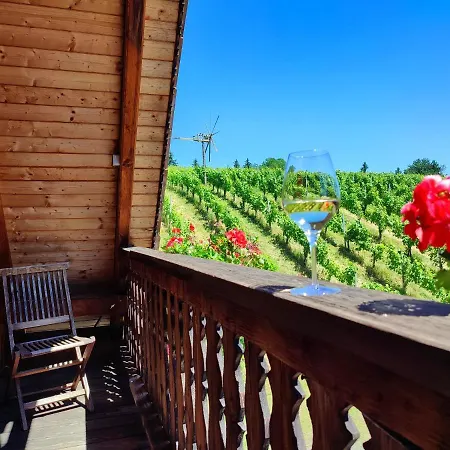 Weingut Winzerzimmer Rothschaedl Hotel *