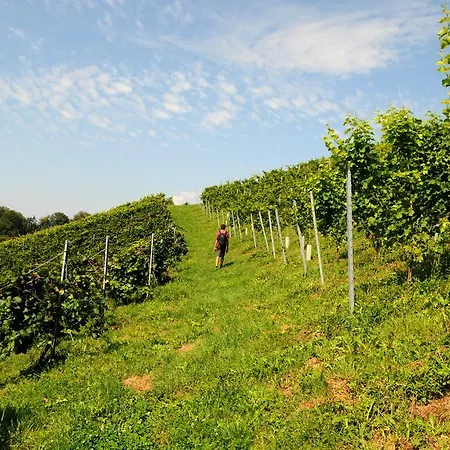 Weingut Winzerzimmer Rothschaedl Leutschach