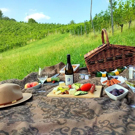 Hotel Weingut Winzerzimmer Rothschaedl Leutschach