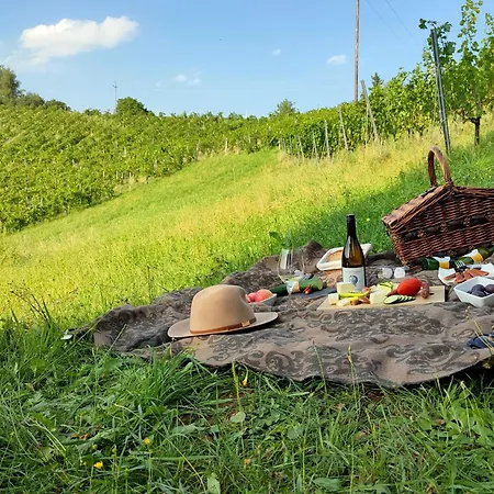 Hotel Weingut Winzerzimmer Rothschaedl