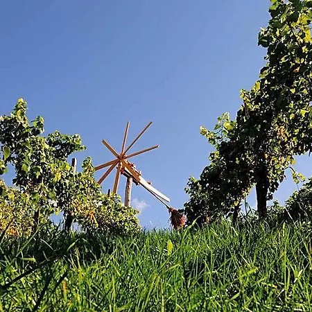 Weingut Winzerzimmer Rothschadl Hotel *