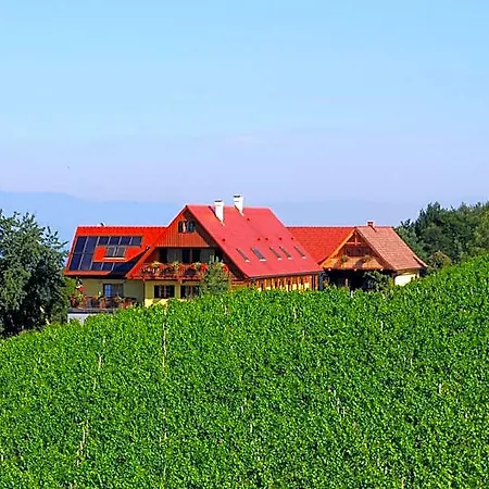Hotel Weingut Winzerzimmer Rothschadl Leutschach