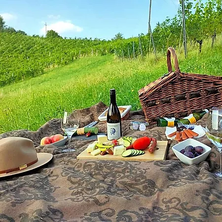 Weingut Winzerzimmer Rothschadl *