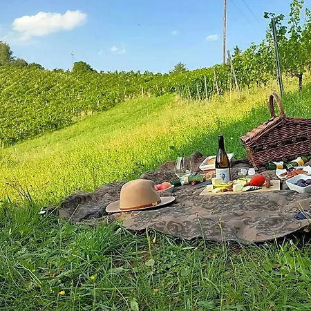 Weingut Winzerzimmer Rothschadl