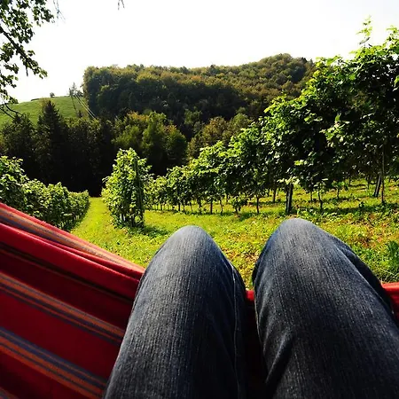 Weingut Winzerzimmer Rothschadl *