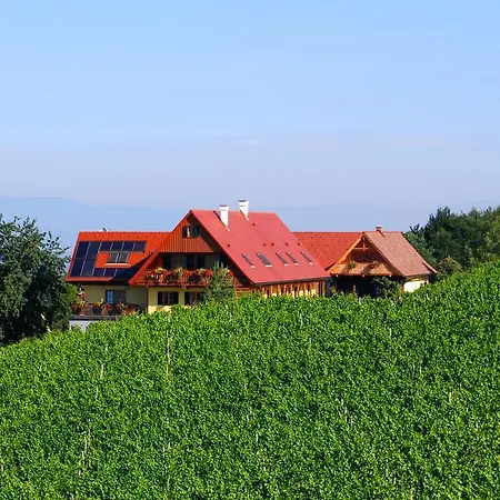 Weingut Winzerzimmer Rothschaedl * ליוצכאך