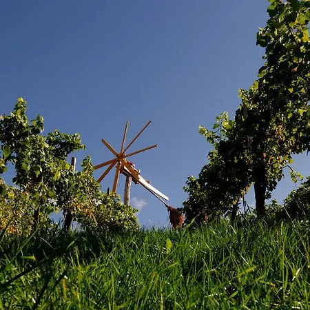 Weingut Winzerzimmer Rothschaedl מלון ליוצכאך