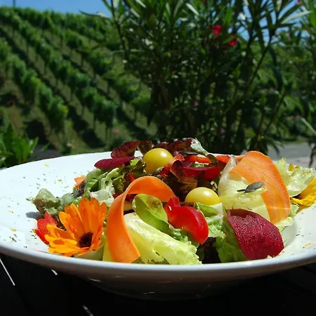 Weingut Winzerzimmer Rothschaedl מלון *