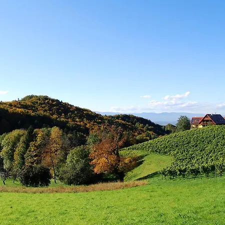 Weingut Winzerzimmer Rothschaedl Hotel
