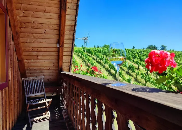 Weingut Winzerzimmer Rothschaedl Hotel *