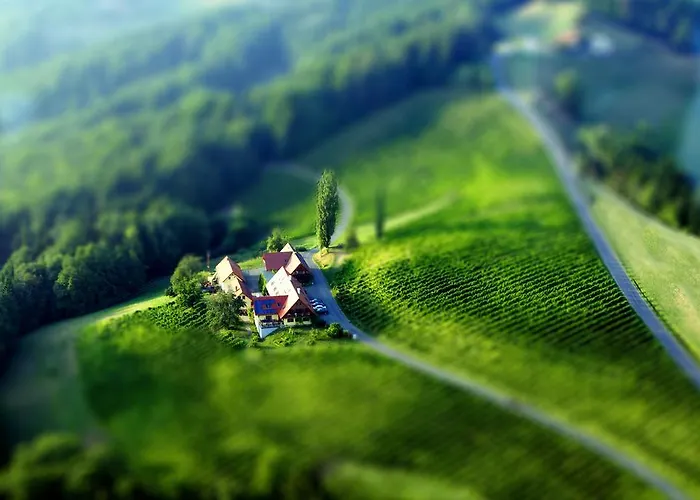 Hotel Weingut Winzerzimmer Rothschaedl