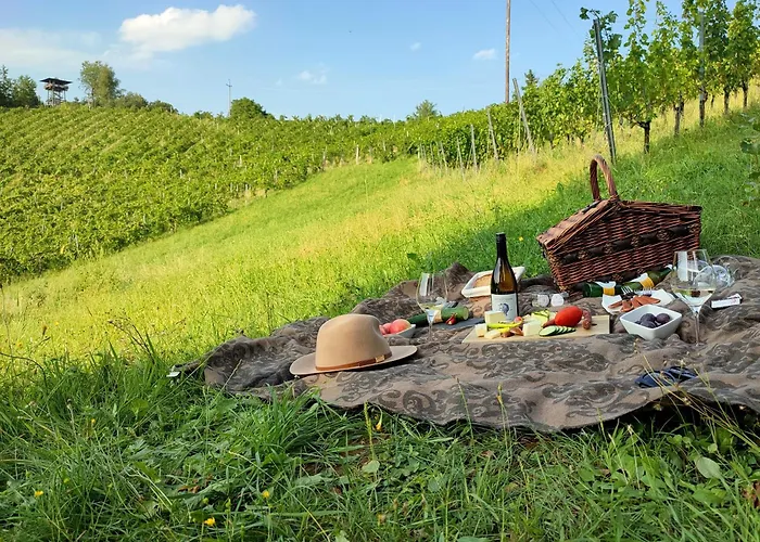 Hotel Weingut Winzerzimmer Rothschaedl