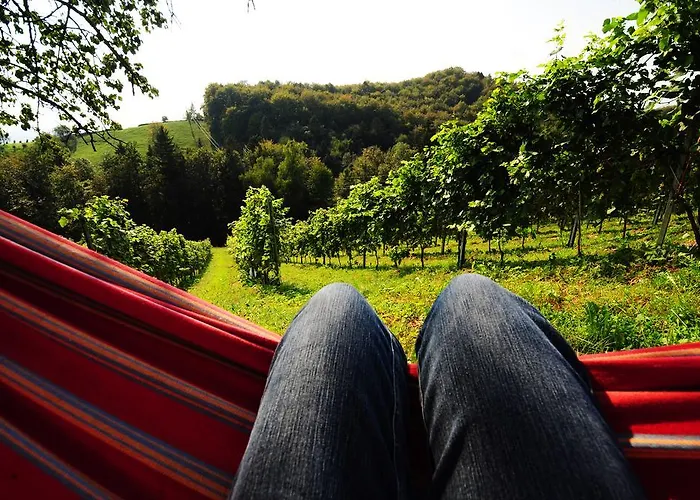 Weingut Winzerzimmer Rothschaedl *