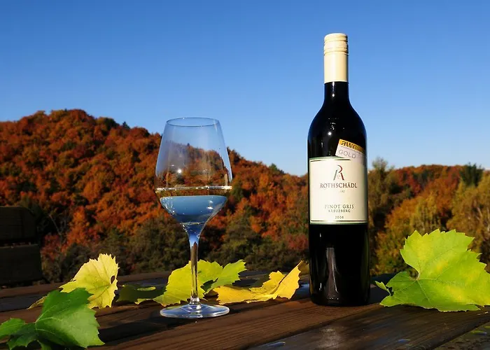 Weingut Winzerzimmer Rothschaedl Hotel Leutschach