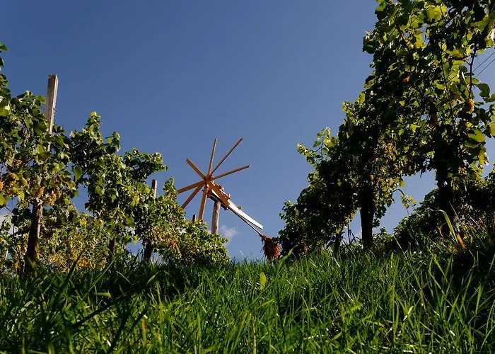 Weingut Winzerzimmer Rothschaedl Hotel Leutschach