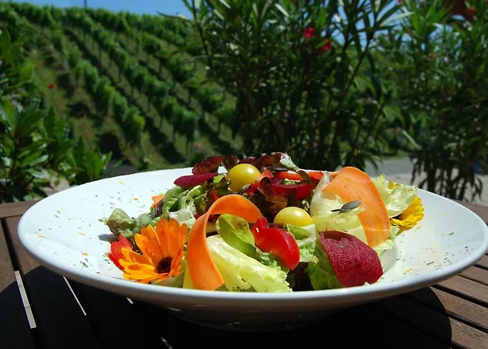 Weingut Winzerzimmer Rothschaedl Hotel *