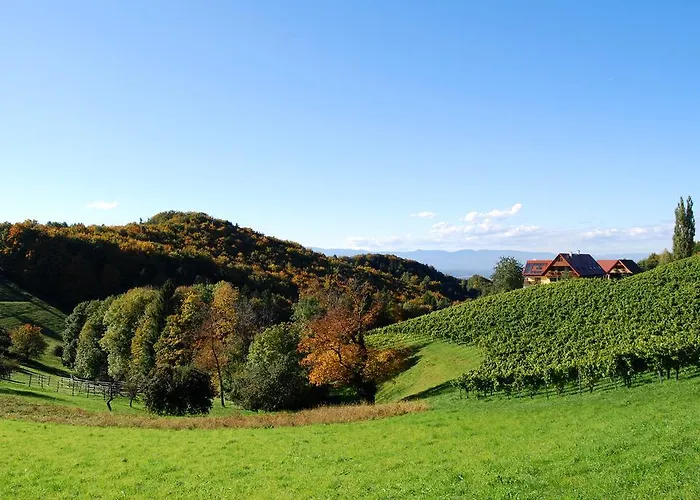 Weingut Winzerzimmer Rothschaedl Hotel
