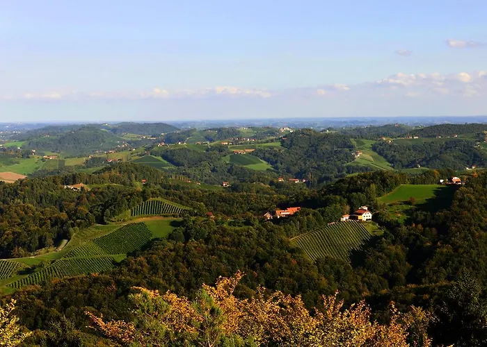 Weingut Winzerzimmer Rothschaedl Hotel *